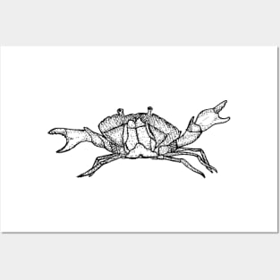 Crab Posters and Art